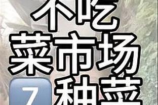 开云真人app下载截图1